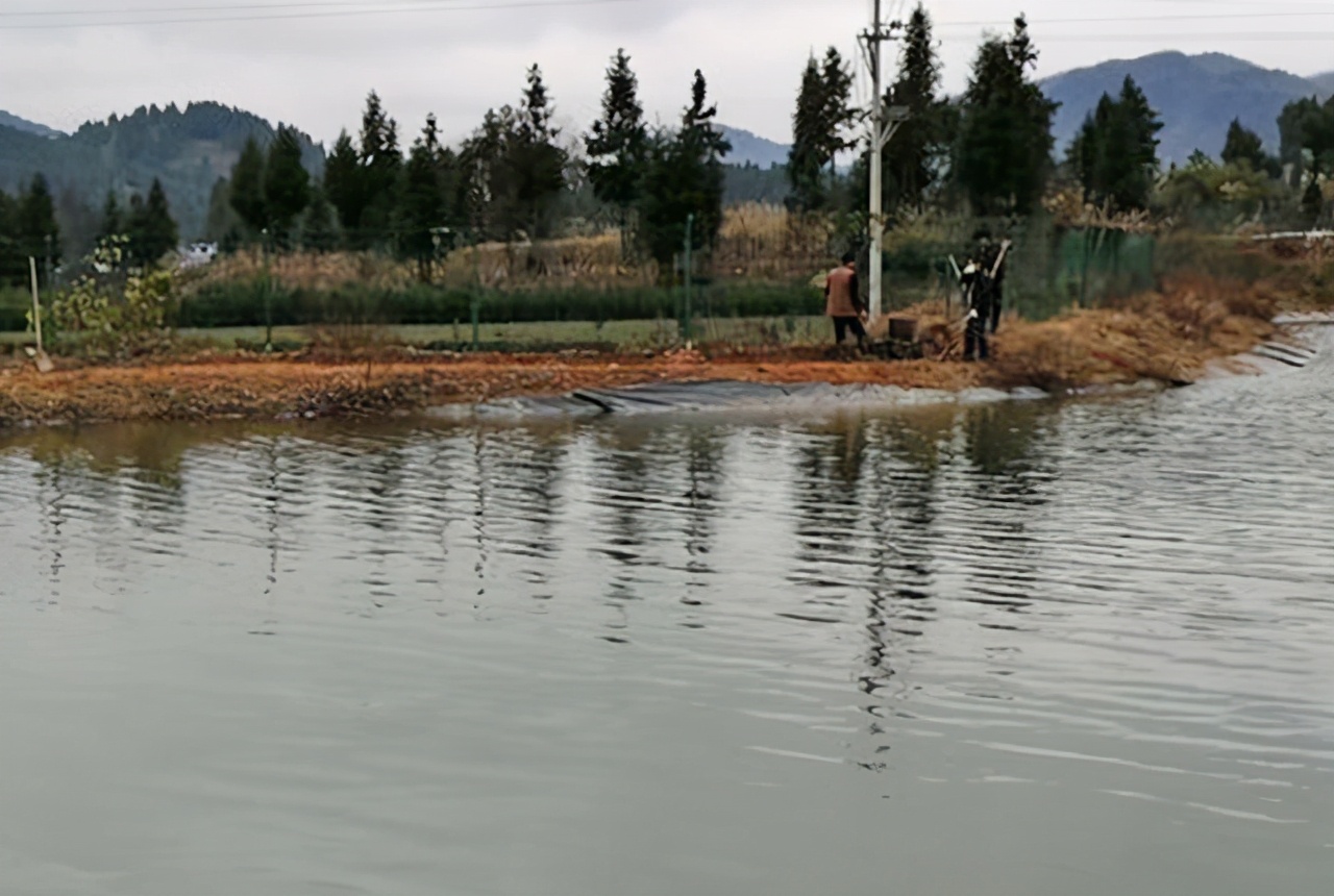 倒春寒螃蟹塘怎么办,低温寒潮鱼塘如何应对