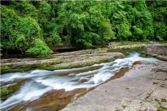 春天的周末最适合踏青,周末去踏青最好的地方