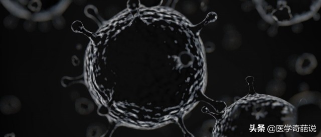 人类对于细菌病毒的认知,世间万物本就相辅相成