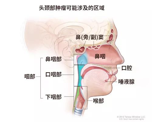 免疫治疗能彻底治愈肿瘤吗,中国治疗肿瘤最新突破