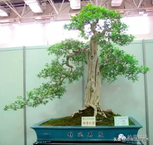 骞哥涔呬箙鐢滅敎铚滆湝,骞哥涔呬箙