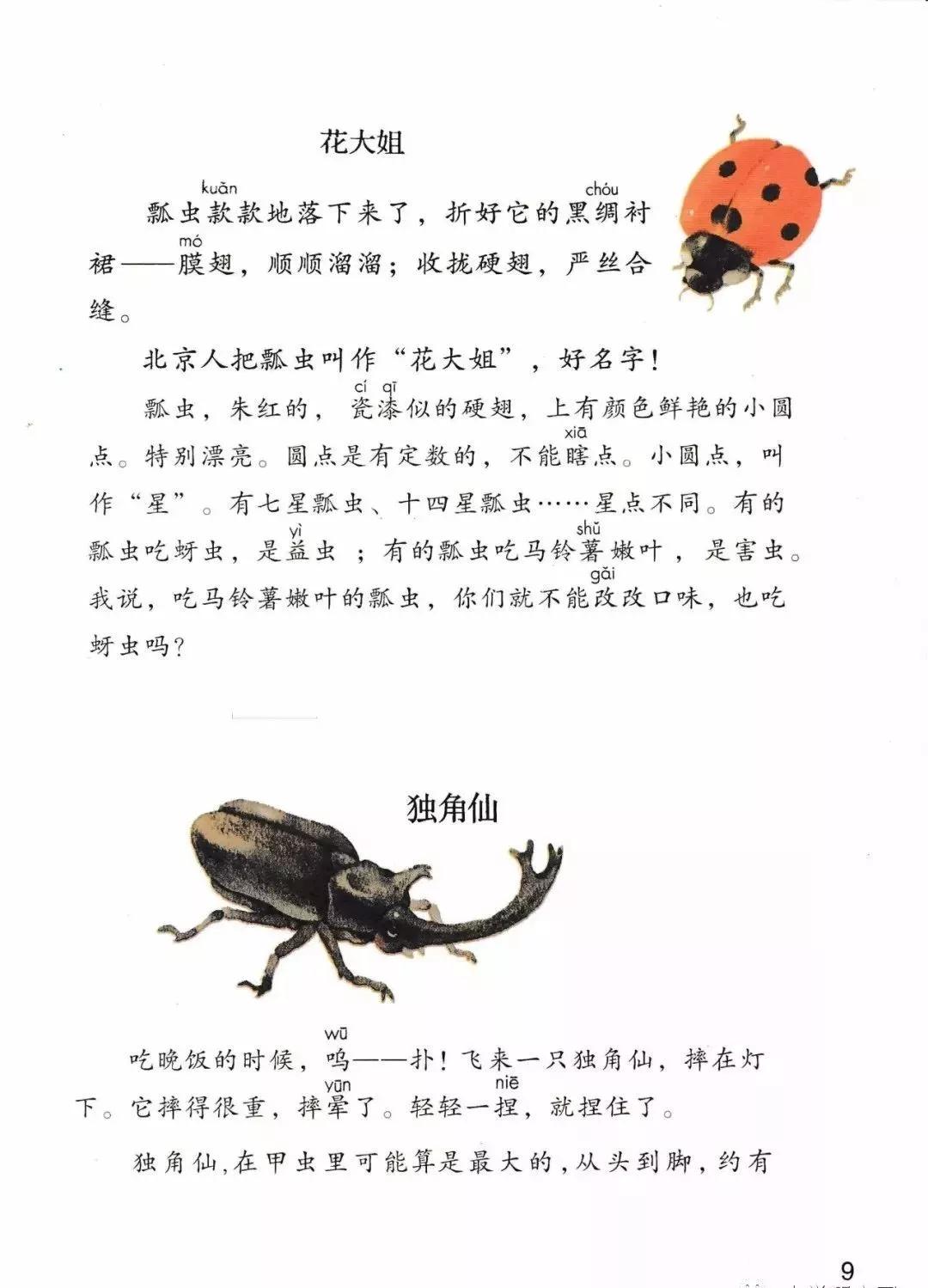 部编版三年级下册电子课本,部编版三年级下册课文详解