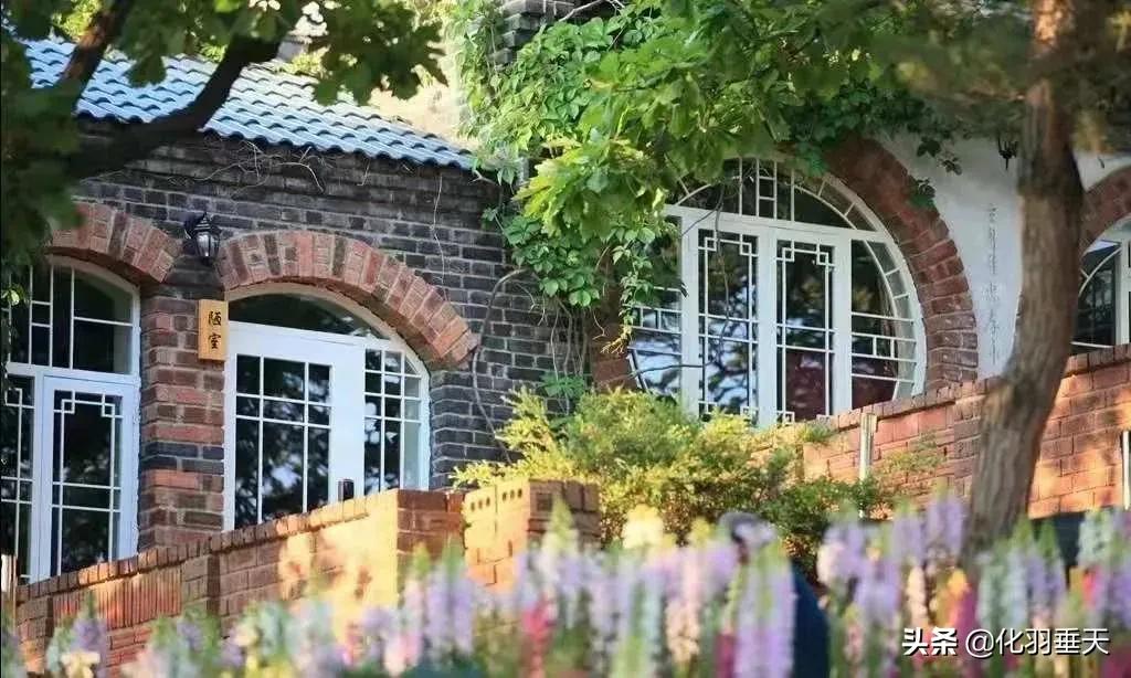 大连温泉民宿排名前十名,大连民宿100-200两人