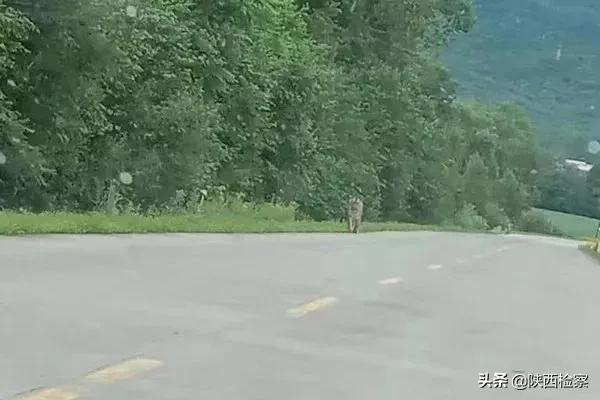 每日新闻早知道（20210712）