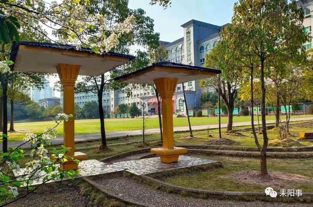 迎接校园里的百花齐放,教室窗外百花齐放