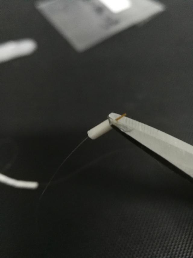 打开新世界之门,世界钓鱼之旅钓大鱼