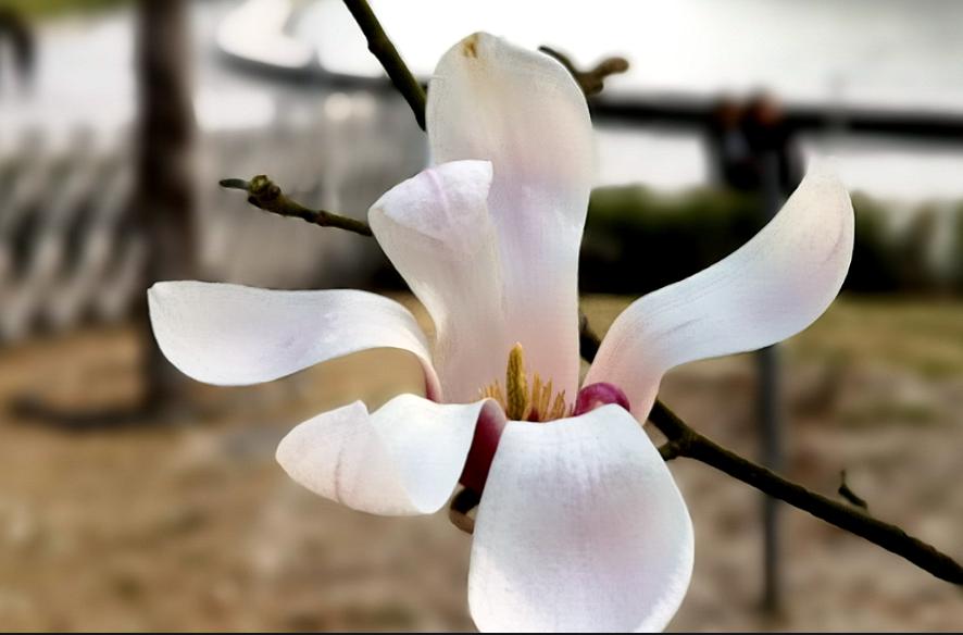 人到中年最好的活法是学会做减法,70后的人活得太累了