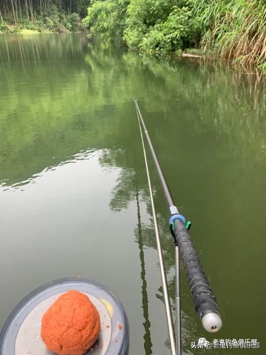 科学钓鱼评测老鬼速胜者鱼竿,老鬼速胜者7.2鱼竿测评