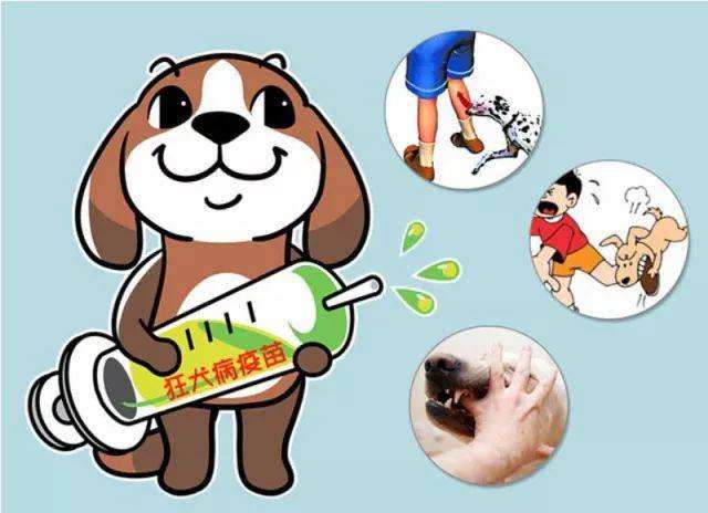 撸猫被咬打疫苗,撸猫撸了一会就咬人