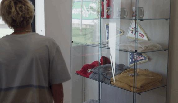 卢卡瓜达尼诺合作电影,卢卡瓜达尼诺电影风格