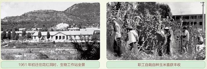 中国社会科学院昆明动物研究所,中国科学院昆明动物研究所简介