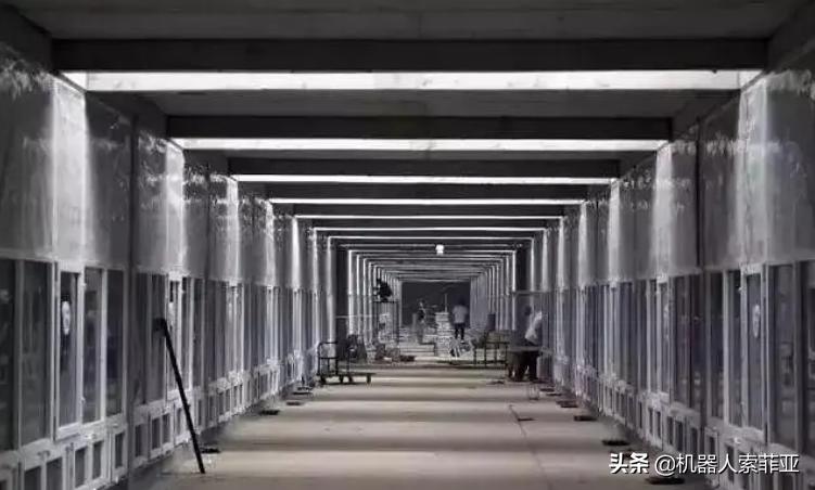 AI自动控制技术,ai智能灭蚊器