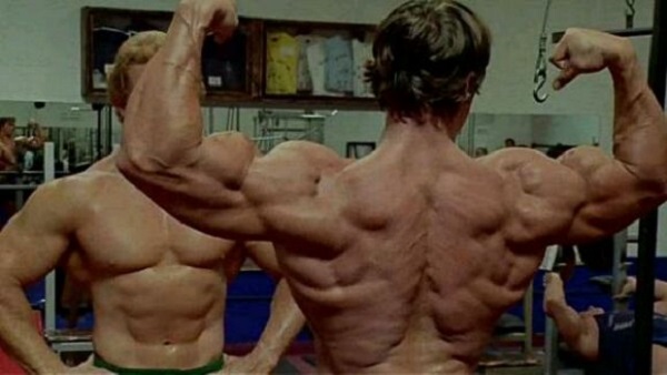 背部训练健身体式动作图解,健身背部训练背背佳