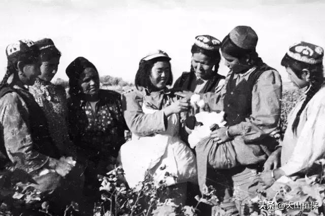 伟大的新疆,伟大的阿勒泰