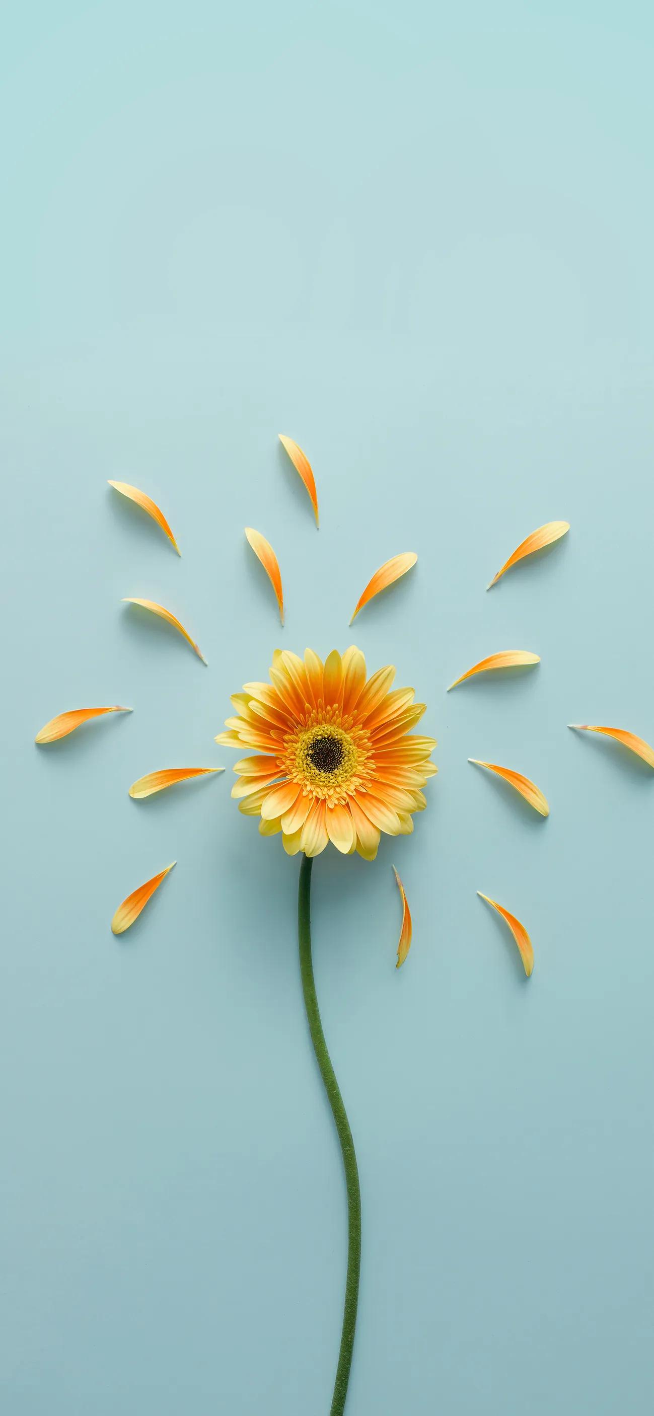 鍚勭濂界湅楂樻竻澹佺焊,绮剧編澹佺焊楂樻竻鍏ㄥ睆灞辨按