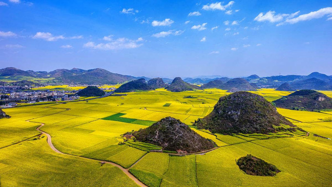 走进春天走进桃花盛开的地方,云南罗平金色花海之旅