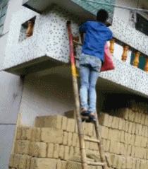 小短腿猫搞笑gif图,搞笑gif段子最后这只猫也太萌了吧