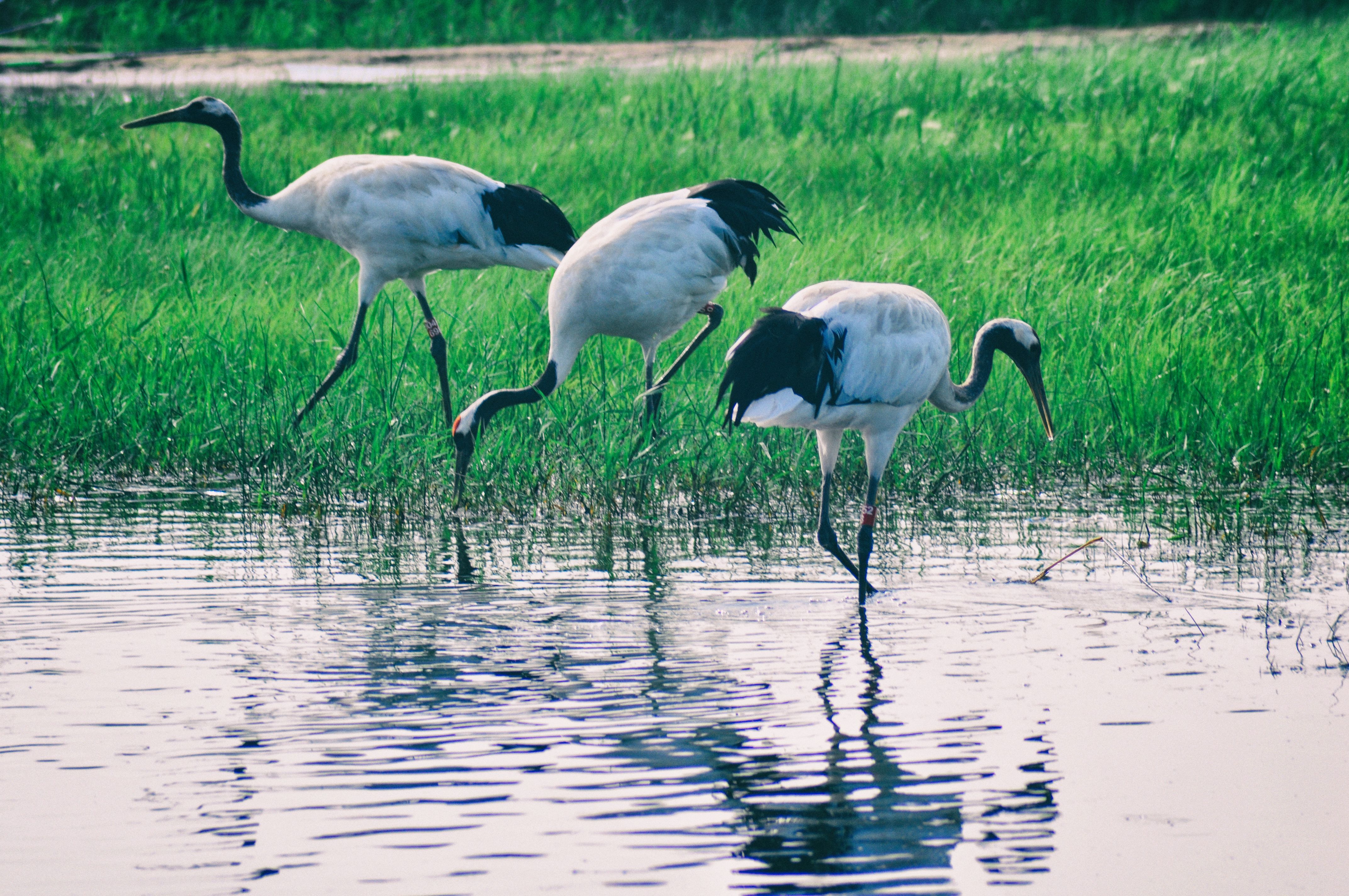 一次特别的东北旅行,历时18天的东北边境行