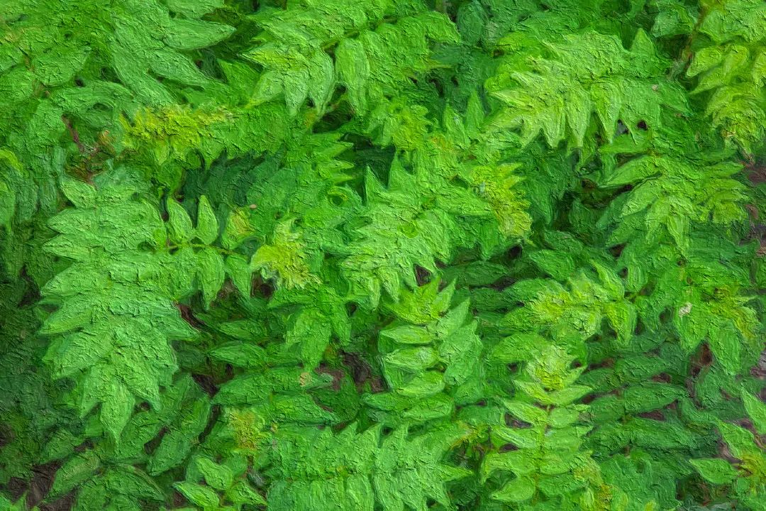 北京信息科技大学简介专业推荐,北京信息科技大学工科