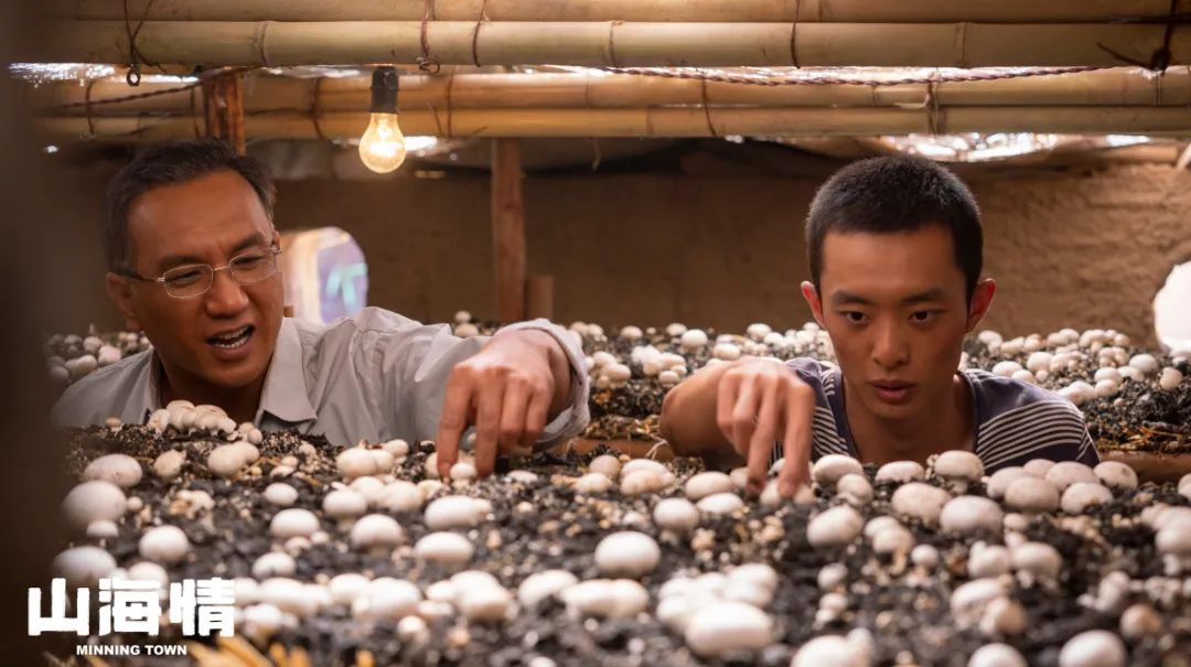 山海情的追剧心得,山海情电视剧感言