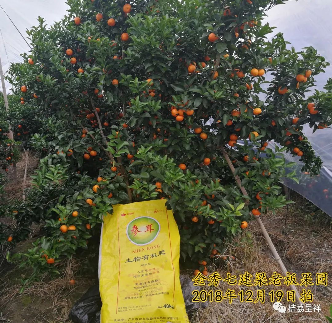 有机菌肥哪个品牌最好,有机菌肥多少钱一袋