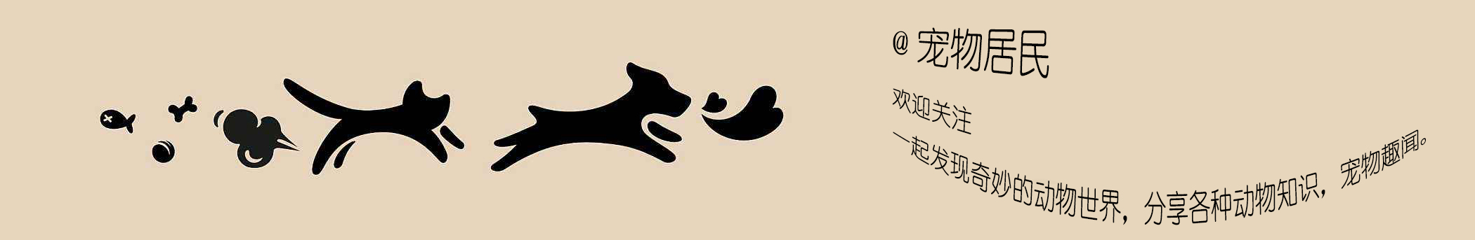 狼狗和德牧有什么区别,怎么分辨狼狗跟德牧