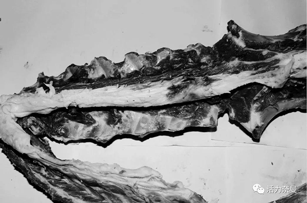 45万奈曼人的名片,太漂亮了!除了中华麦饭石你还知多少?