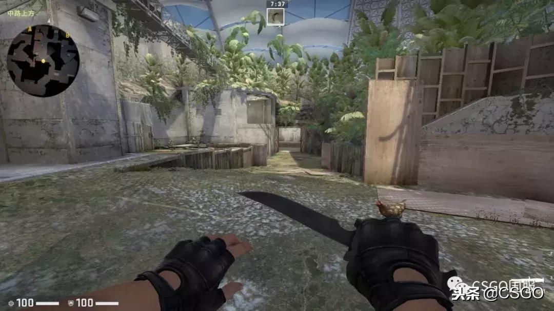 「社区服」娱乐与对抗并重的不二选择-附2018年11月29日更新日志