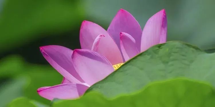 山东这五处绝美景区，藏着的不仅仅是诗与远方，还有……