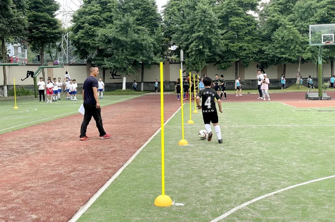 芳菲大地,芳菲地