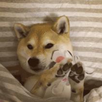 推荐10大面膜,目前最好的十款面膜