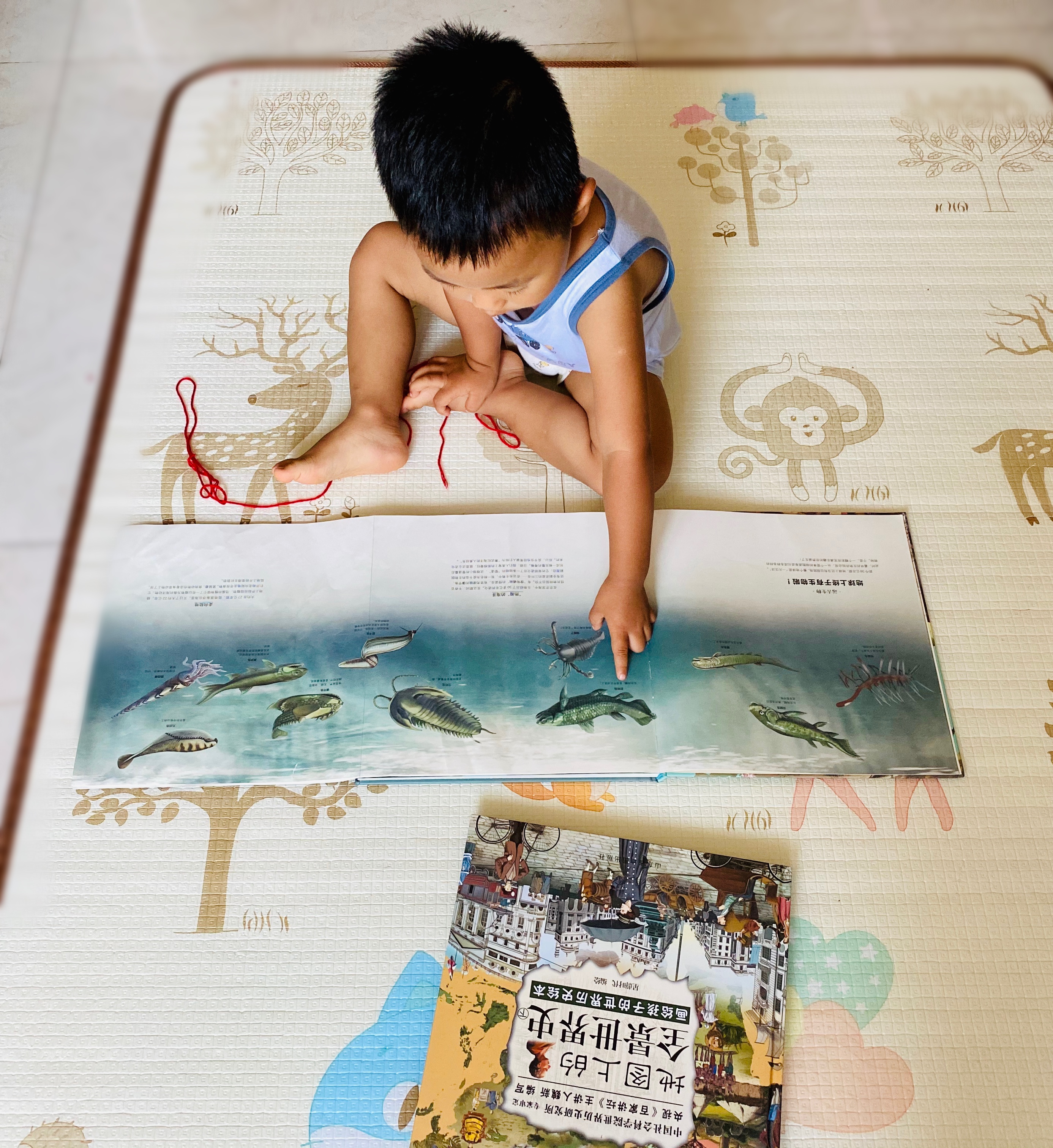 怎么教低龄孩子学历史,孩子学历史入门