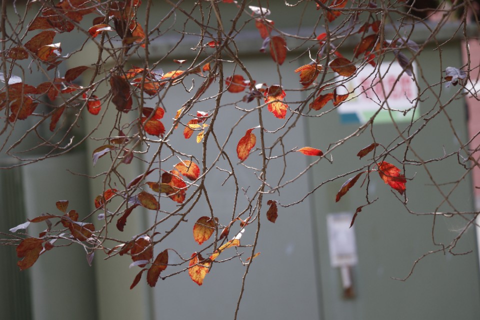 摄影小白买相机推荐,摄影小白看过来