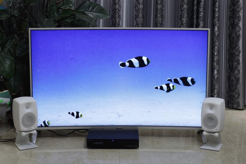 真力G1监听有源音箱,真力有源监听音箱效果