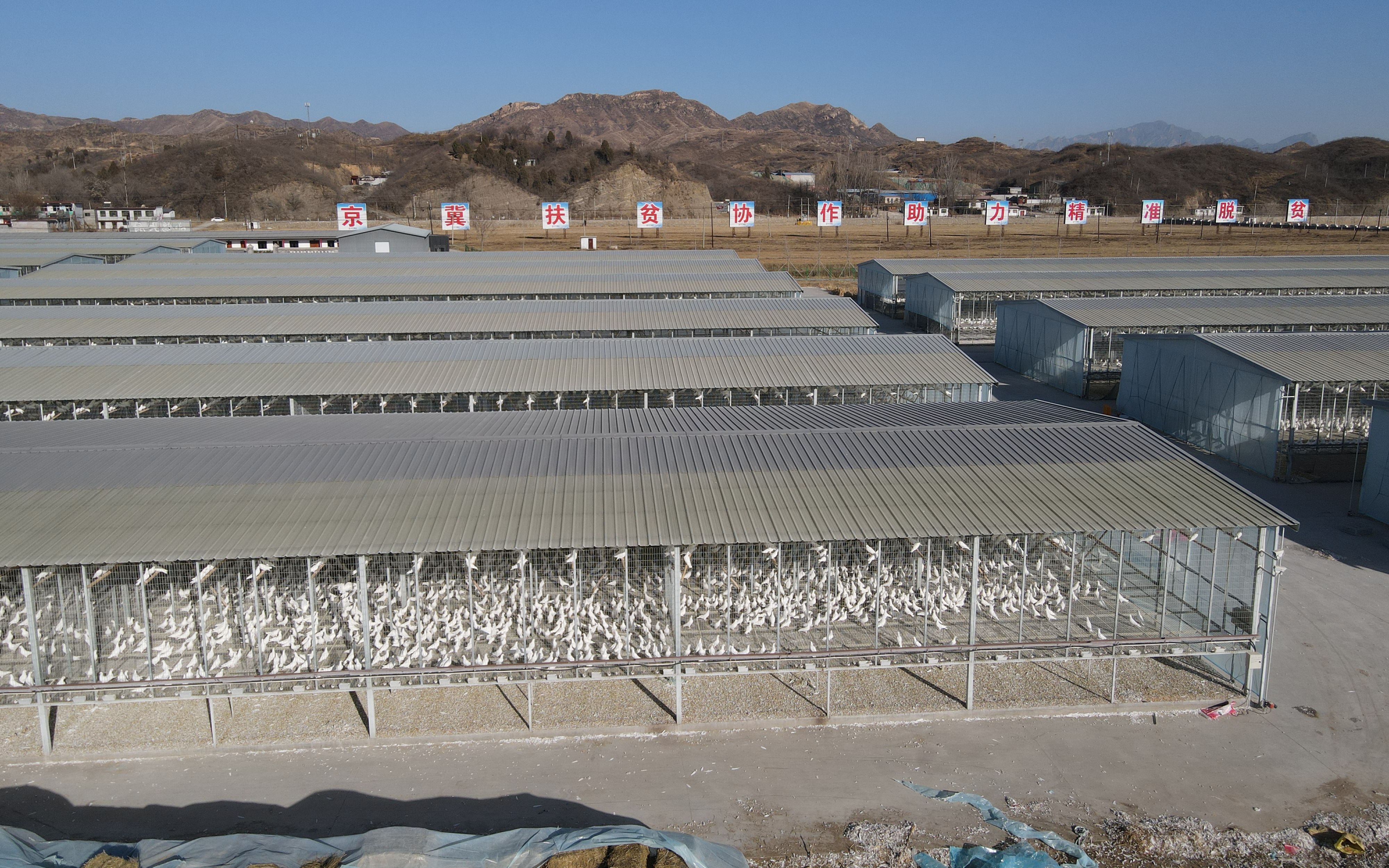 回望脱贫路⑧丨八年之后曾经的国家级贫困县阜平什么样了？