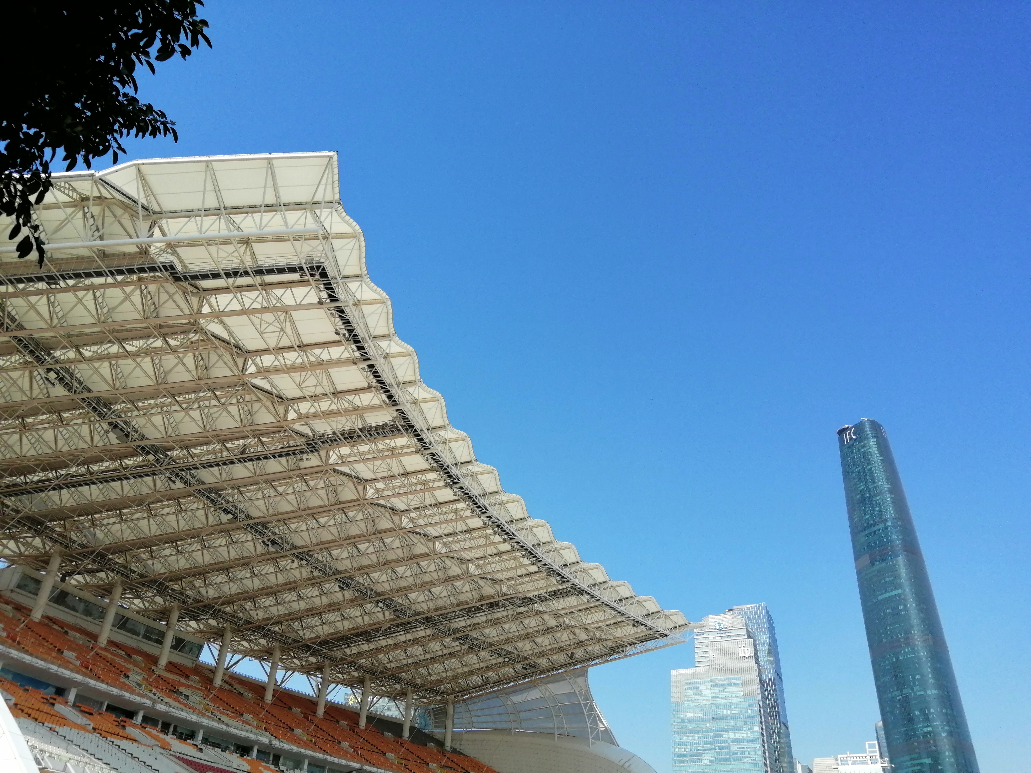 广州海心沙亚运公园广州塔格桑花,游广州海心沙公园