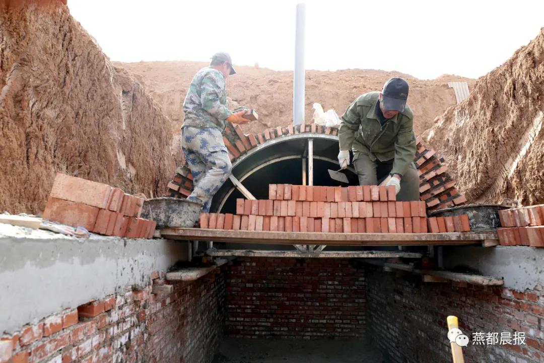 种植生姜喜丰收,一亩地2万斤大姜种植