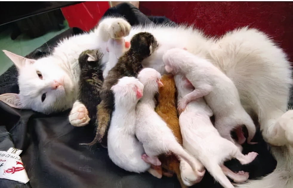 一招教你彻底祛斑,轻松祛斑先养肝