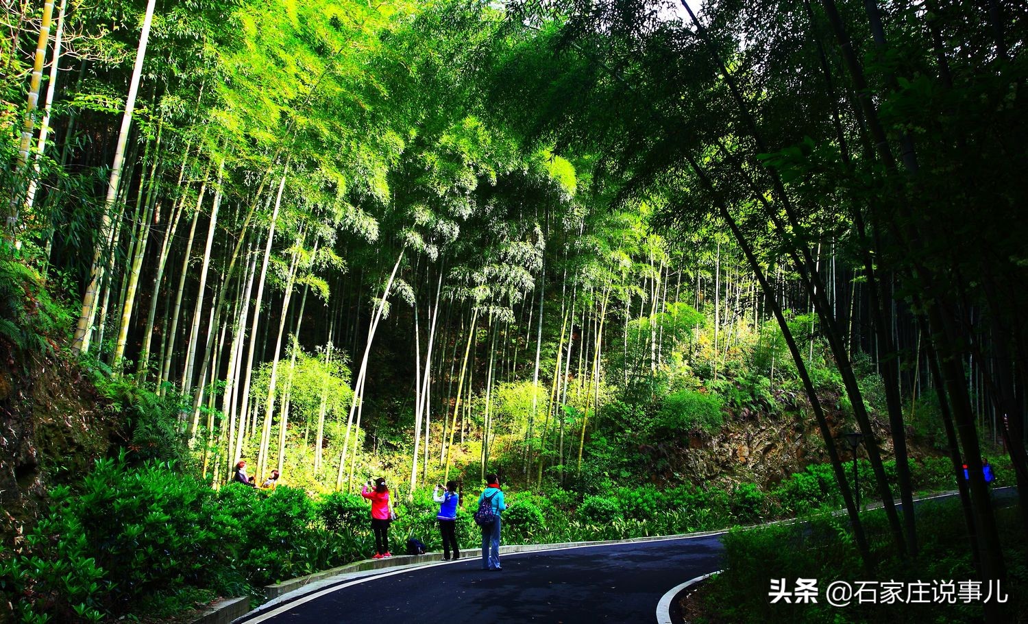 山东海阳海景房骗局揭秘,海阳市海景房能不能买