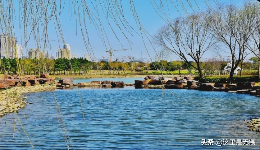 无锡网红打卡地太湖明珠大堤,无锡网红打卡地江尖公园