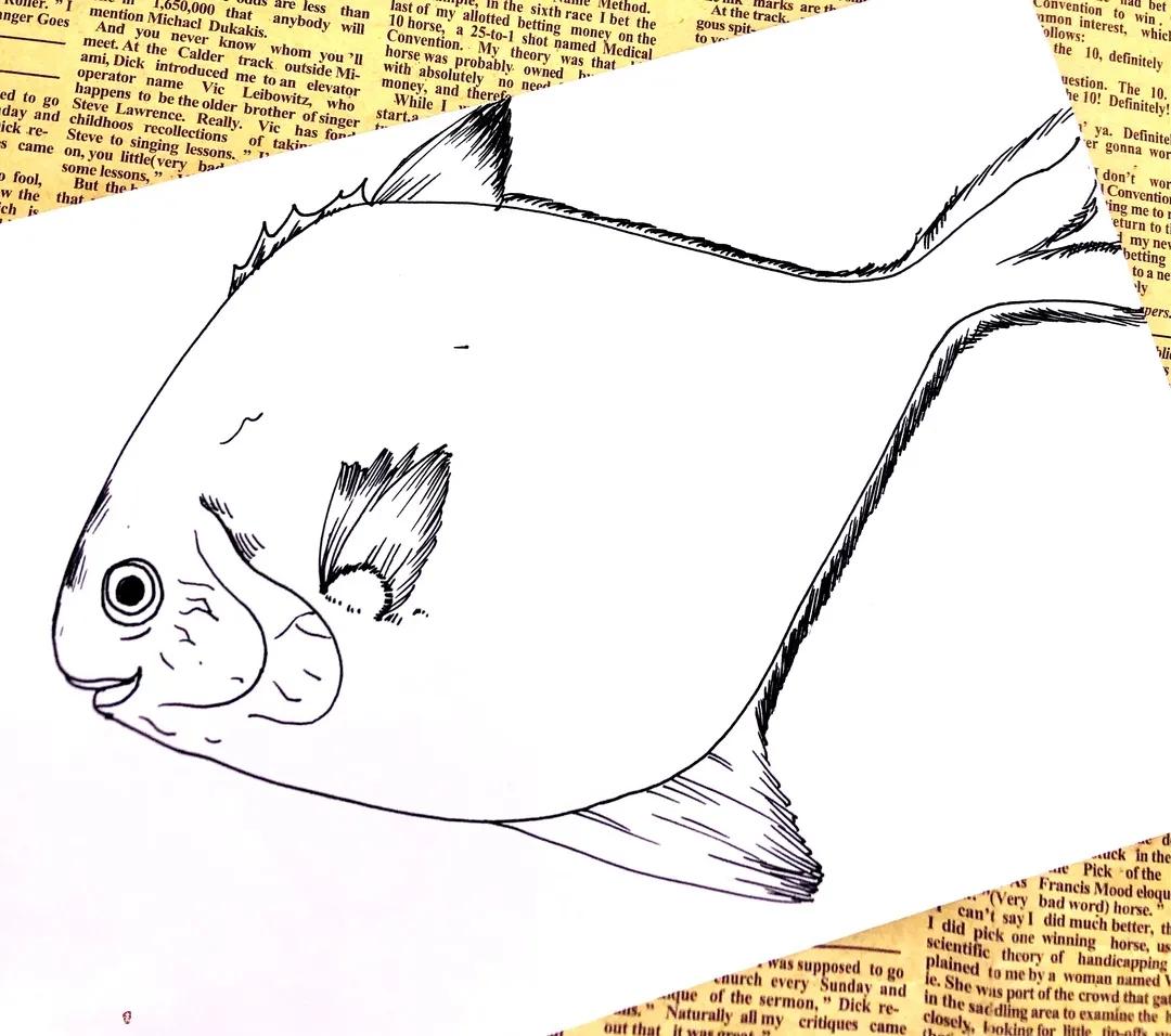 超划算海产品,爆款榜海产品