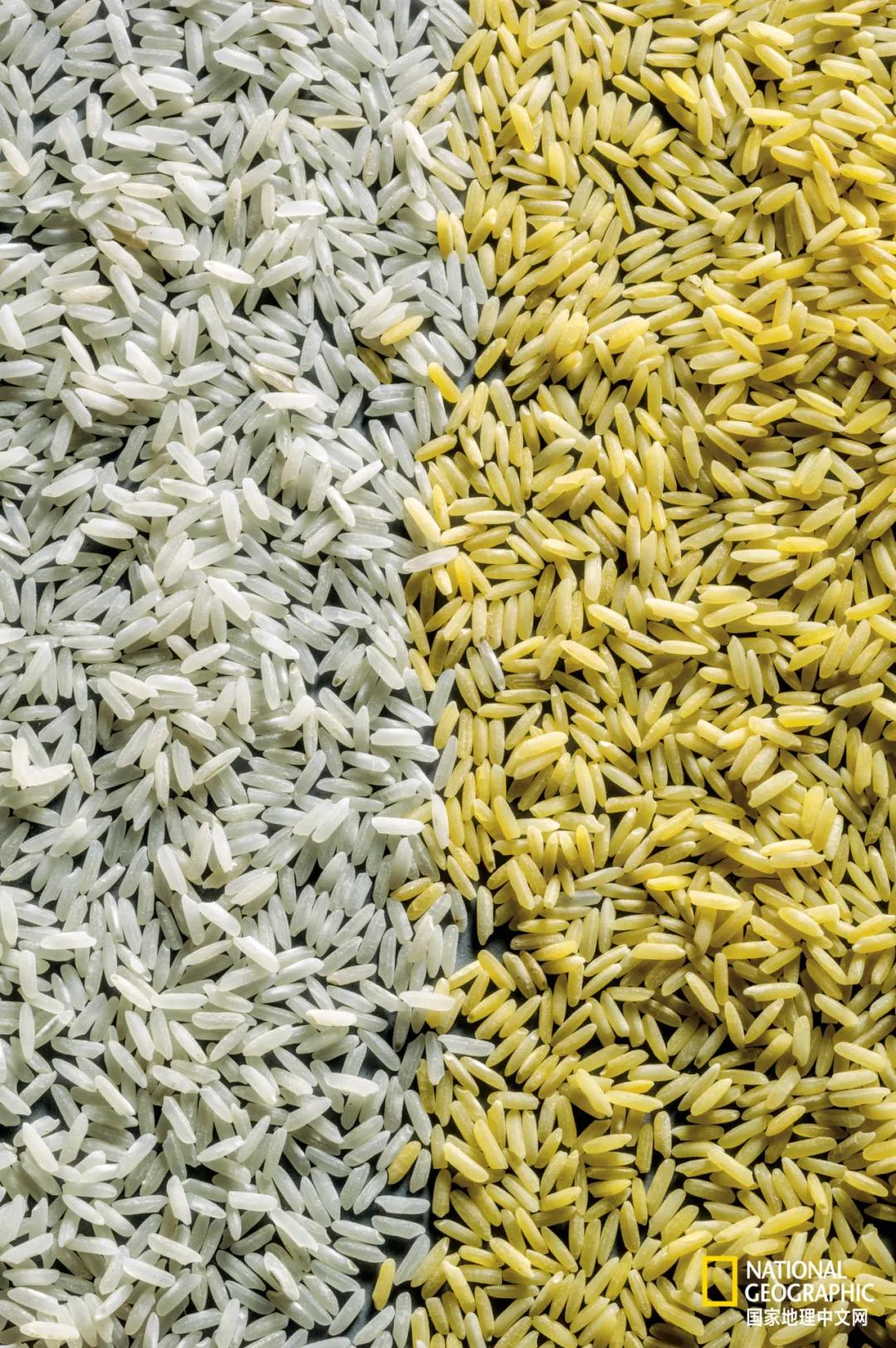 我们的地球很老了吗,地球还能再活几岁