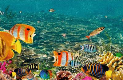 端午节遇上檀溪谷，奇幻海洋世界美爆你的视觉、味觉！