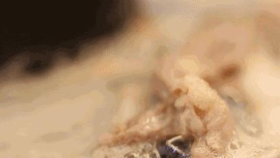 海南入秋了，先吃一口美安乳羊暖暖心