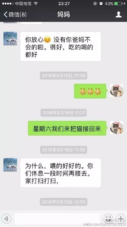冲动下养猫，你和你的猫现在是怎样的生活？
