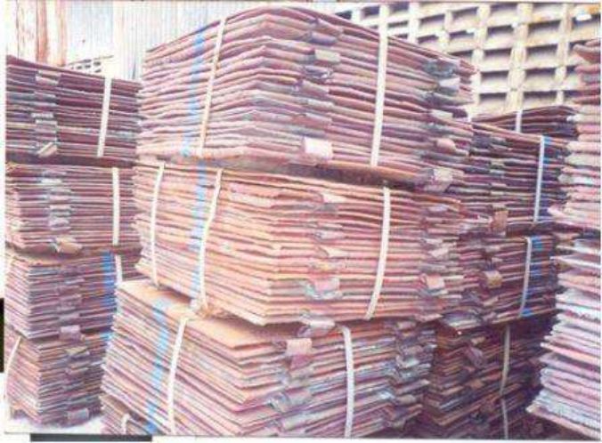 五味杂陈冷暖自知的下一句,五味杂陈冷暖自知