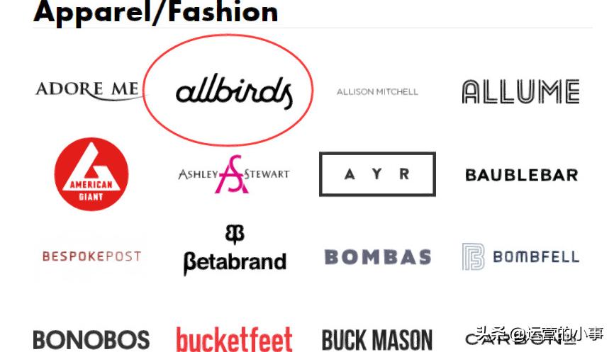 allbirds是什么牌子中文怎么叫,allbirds中文名字叫什么