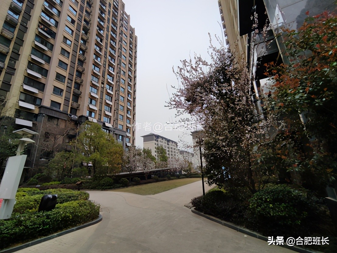 文一名门湖语叠墅,文一名门湖语值不值得买