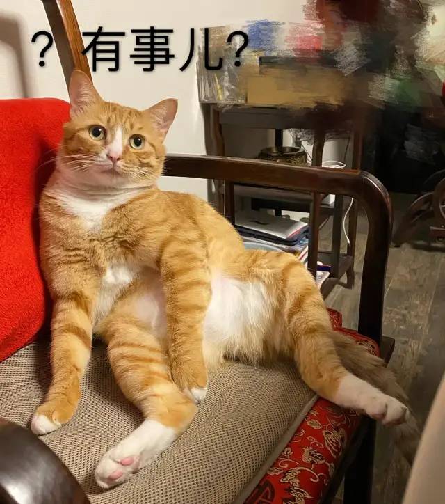 哈哈哈哈哈哈我笑到我妈把鞋塞我嘴里