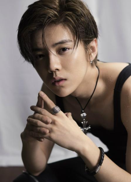 鹿晗微博瘫痪事件时间,鹿晗让微博瘫痪